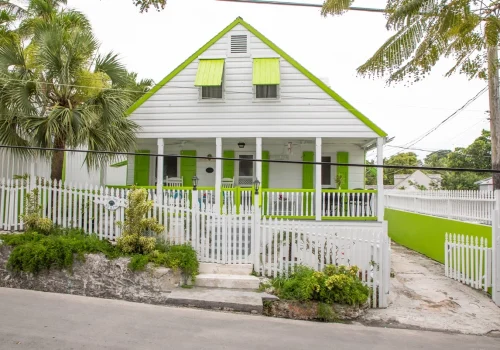 Cotton Tree - Eleuthera - Harbour Island (1)