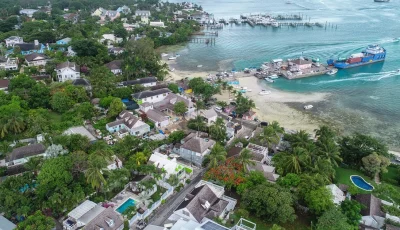 Cotton Tree - Eleuthera - Harbour Island (3)