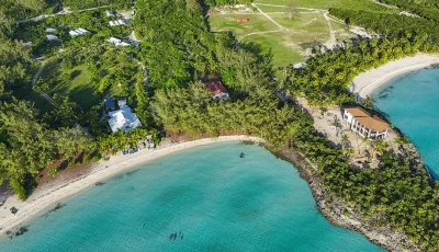 Moonflower - Gregory Town - Eleuthera (1)